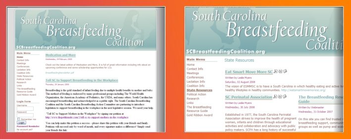 South Carolina Breastfeeding Coalition